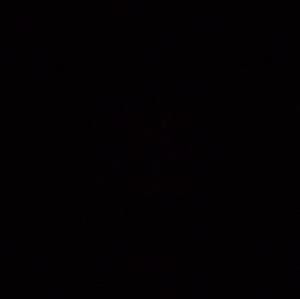 Meet your Posher, Tony